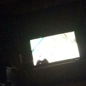 Meet your Posher, Roy